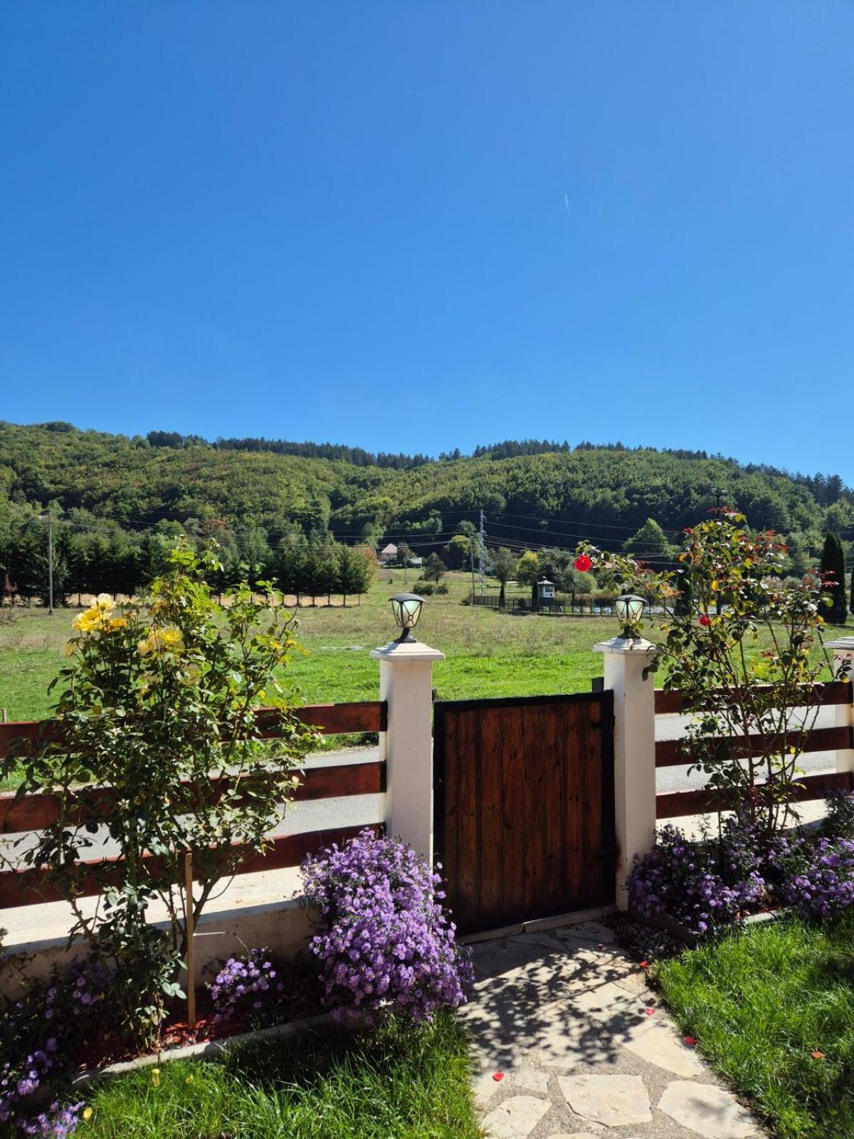 Holiday Home Ciara Kolasin Exterior photo